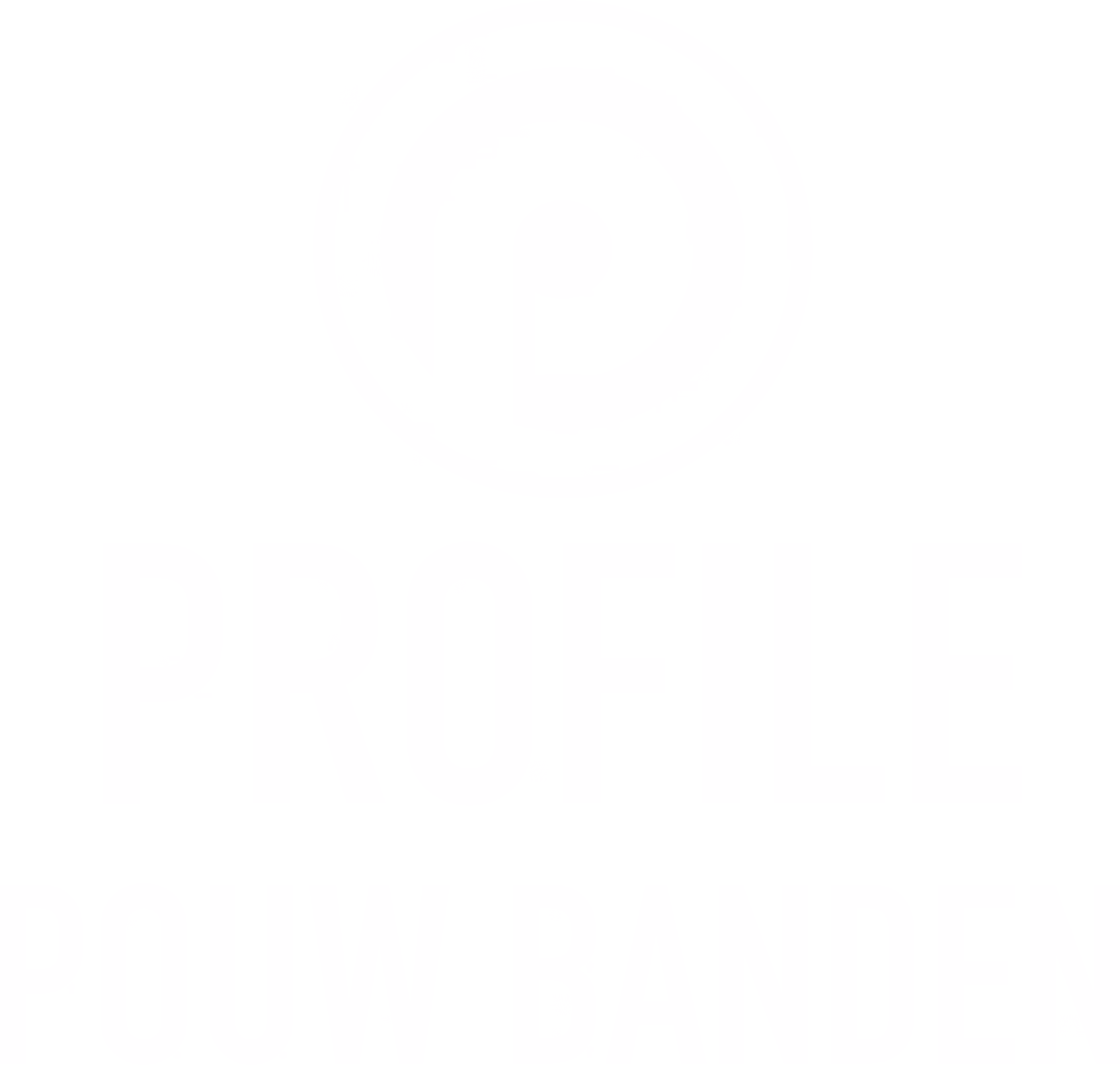 Profile Pouwbanden